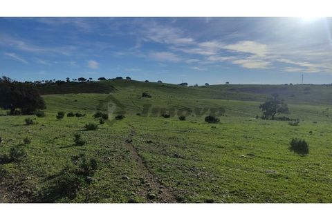 Helårsgrund i Almodovar, Beja, Almodovar - € 60.000 | Ref: SÒL_6 - foto 6