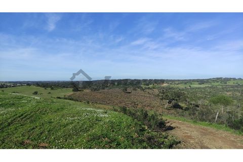 Helårsgrund i Almodovar, Beja, Almodovar - € 60.000 | Ref: SÒL_6 - foto 7