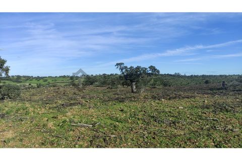 Helårsgrund i Almodovar, Beja, Almodovar - € 60.000 | Ref: SÒL_6 - foto 8