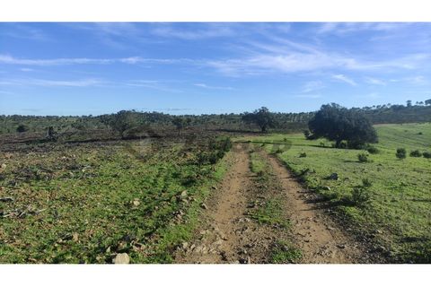 Helårsgrund i Almodovar, Beja, Almodovar - € 60.000 | Ref: SÒL_6 - foto 9