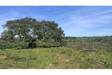 Helårsgrund i Almodovar, Beja, Almodovar - € 60.000 | Ref: SÒL_6 - foto 10