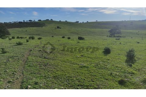 Helårsgrund i Almodovar, Beja, Almodovar - € 60.000 | Ref: SÒL_6 - foto 11