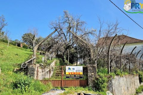 Villa i Tarouca, Viseu, Tarouca - € 125.000 | Ref: AS124 - foto 6