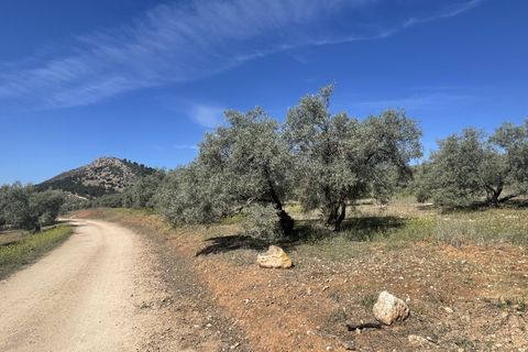 Tomt i Mollina, Malaga, Mollina - € 65 000 | Ref: 428-01385P - foto 3