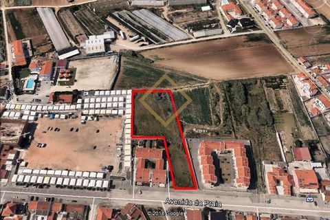 Helårsgrund i Peniche, Leiria, Peniche - € 550.000 | Ref: 23-TRES015 - foto 2