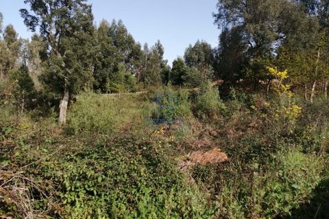 Terra a Serzedo, Porto, Serzedo - € 56.500 | Ref: 25/23 - foto 2