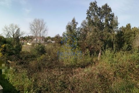 Terra a Serzedo, Porto, Serzedo - € 56.500 | Ref: 25/23 - foto 4