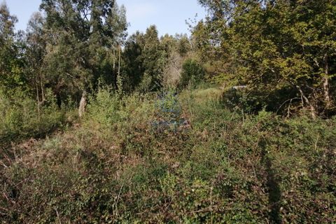 Terra a Serzedo, Porto, Serzedo - € 56.500 | Ref: 25/23 - foto 5
