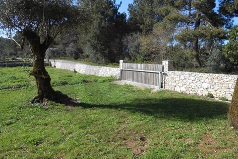 Terra a Fatima, Santarem, Fatima - € 45.000 | Ref: C0269-01510 - foto 4