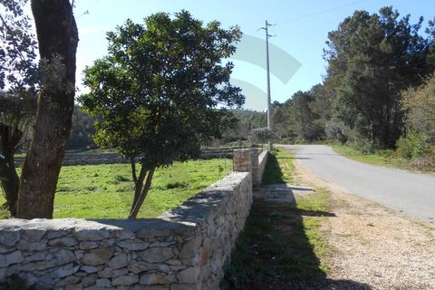 Terra a Fatima, Santarem, Fatima - € 45.000 | Ref: C0269-01510 - foto 5