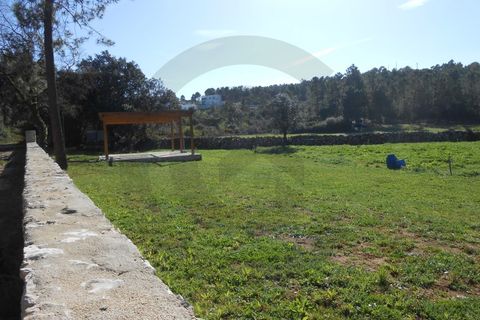 Terra a Fatima, Santarem, Fatima - € 45.000 | Ref: C0269-01510 - foto 6