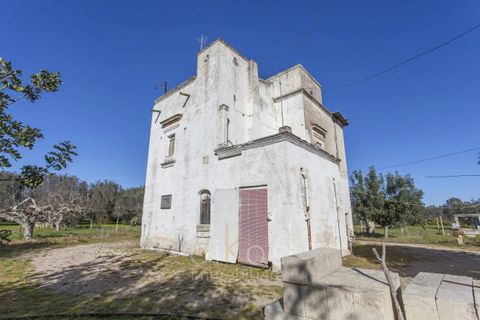 Villa i Oria, Brindisi, Oria - € 177.000 | Ref: V603 - foto 22