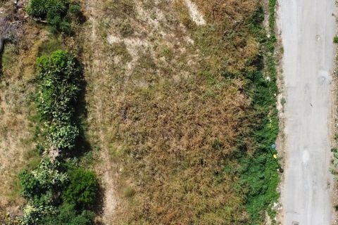Tomt i Ribera, Agrigento, Ribera - € 65 000 | Ref: M/1057 L.E. - foto 7
