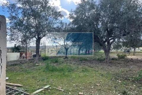 Terra a Melilli, Siracusa, Melilli - € 150.000 | Ref: RIF. BEL TCIT 32 - foto 2