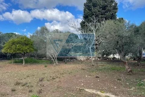Terra a Melilli, Siracusa, Melilli - € 150.000 | Ref: RIF. BEL TCIT 32 - foto 3