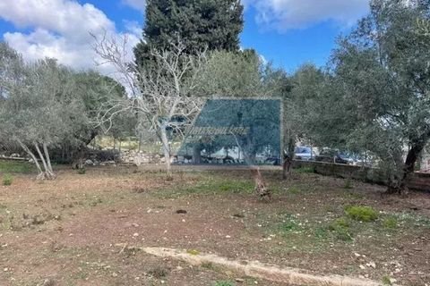 Terra a Melilli, Siracusa, Melilli - € 150.000 | Ref: RIF. BEL TCIT 32 - foto 4