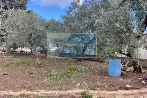 Terra a Melilli, Siracusa, Melilli - € 150.000 | Ref: RIF. BEL TCIT 32 - foto 5