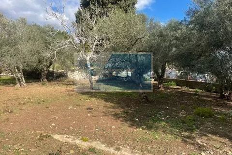 Terra a Melilli, Siracusa, Melilli - € 150.000 | Ref: RIF. BEL TCIT 32 - foto 6