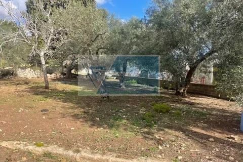 Terra a Melilli, Siracusa, Melilli - € 150.000 | Ref: RIF. BEL TCIT 32 - foto 7