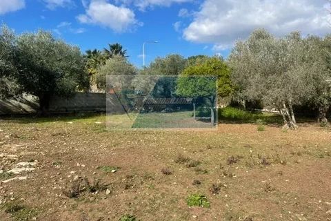 Terra a Melilli, Siracusa, Melilli - € 150.000 | Ref: RIF. BEL TCIT 32 - foto 8