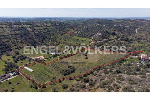 Terra a Paderne, Faro, Paderne - € 149.000 | Ref: W-02QYMH - foto 2