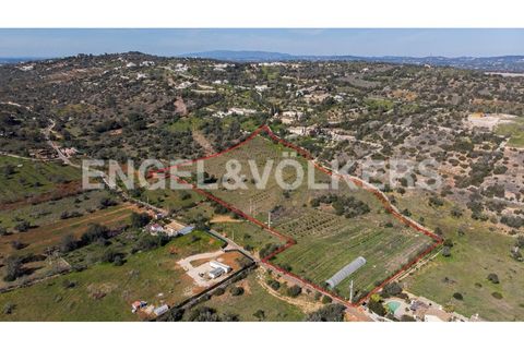 Terra a Paderne, Faro, Paderne - € 149.000 | Ref: W-02QYMH - foto 4