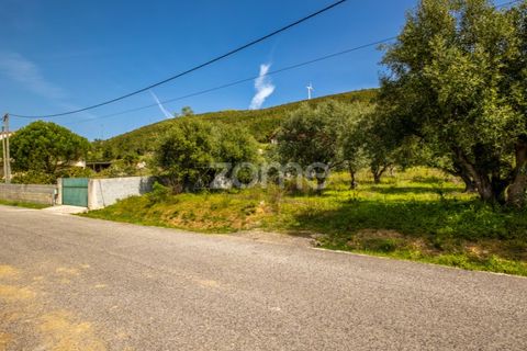 Terra a Batalha, Leiria, Batalha - € 80.000 | Ref: ZMPT556439 - foto 5