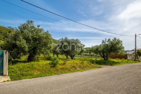 Terra a Batalha, Leiria, Batalha - € 80.000 | Ref: ZMPT556439 - foto 3