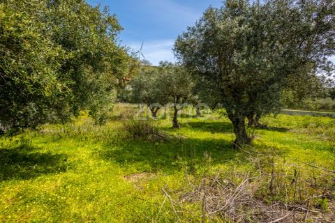 Terra a Batalha, Leiria, Batalha - € 80.000 | Ref: ZMPT556439 - foto 4
