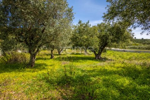 Terra a Batalha, Leiria, Batalha - € 80.000 | Ref: ZMPT556439 - foto 6