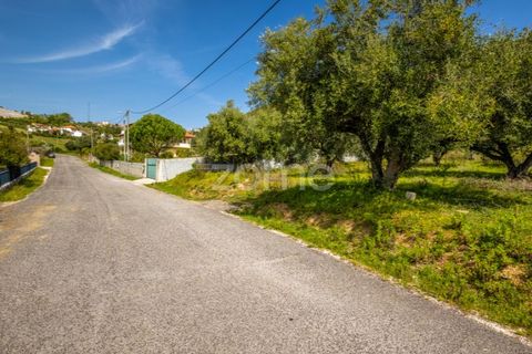 Terra a Batalha, Leiria, Batalha - € 80.000 | Ref: ZMPT556439 - foto 7
