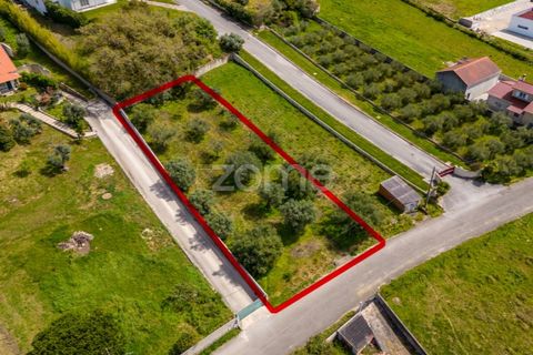 Terra a Batalha, Leiria, Batalha - € 80.000 | Ref: ZMPT556439 - foto 8