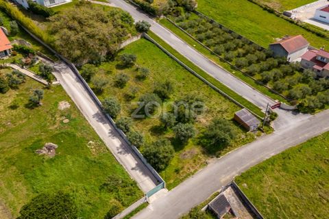 Terra a Batalha, Leiria, Batalha - € 80.000 | Ref: ZMPT556439 - foto 9