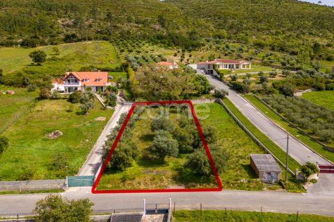 Terra a Batalha, Leiria, Batalha - € 80.000 | Ref: ZMPT556439 - foto 11