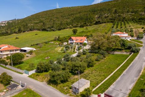 Terra a Batalha, Leiria, Batalha - € 80.000 | Ref: ZMPT556439 - foto 13