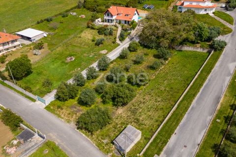 Terra a Batalha, Leiria, Batalha - € 80.000 | Ref: ZMPT556439 - foto 14