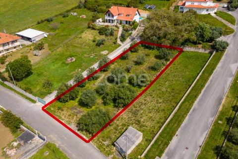 Terra a Batalha, Leiria, Batalha - € 80.000 | Ref: ZMPT556439 - foto 15