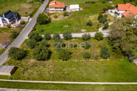 Terra a Batalha, Leiria, Batalha - € 80.000 | Ref: ZMPT556439 - foto 16