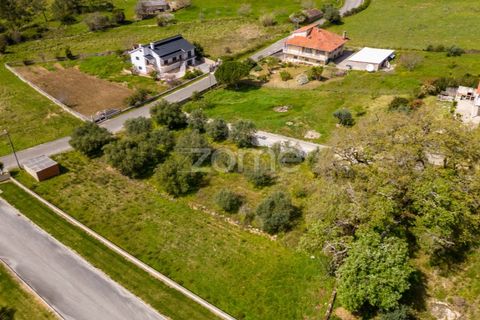 Terra a Batalha, Leiria, Batalha - € 80.000 | Ref: ZMPT556439 - foto 17