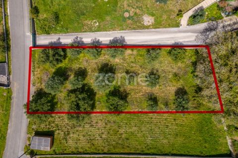 Terra a Batalha, Leiria, Batalha - € 80.000 | Ref: ZMPT556439 - foto 19