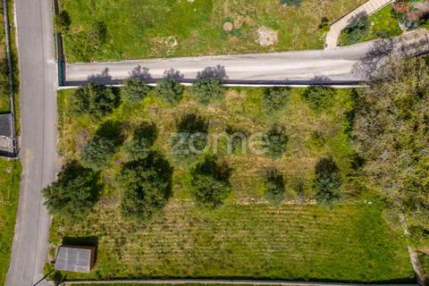 Terra a Batalha, Leiria, Batalha - € 80.000 | Ref: ZMPT556439 - foto 20