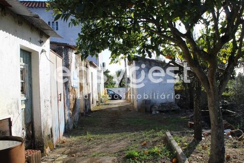 Byhus i Asseiceira, Santarem, Asseiceira - € 34.000 | Ref: TM92007 - foto 2