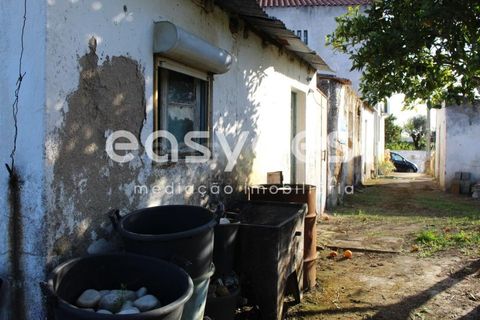 Byhus i Asseiceira, Santarem, Asseiceira - € 34.000 | Ref: TM92007 - foto 5