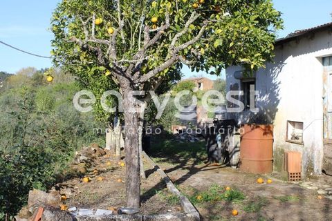 Byhus i Asseiceira, Santarem, Asseiceira - € 34.000 | Ref: TM92007 - foto 6
