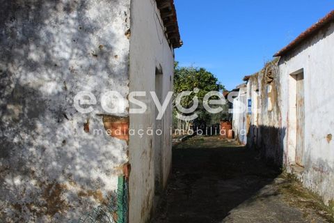 Byhus i Asseiceira, Santarem, Asseiceira - € 34.000 | Ref: TM92007 - foto 7