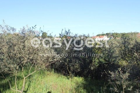 Byhus i Asseiceira, Santarem, Asseiceira - € 34.000 | Ref: TM92007 - foto 8