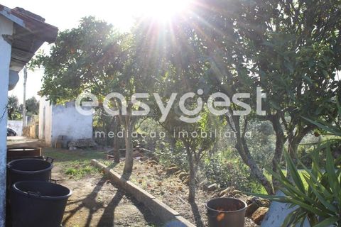Byhus i Asseiceira, Santarem, Asseiceira - € 34.000 | Ref: TM92007 - foto 9