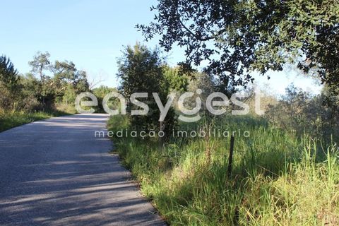 Byhus i Asseiceira, Santarem, Asseiceira - € 34.000 | Ref: TM92007 - foto 10