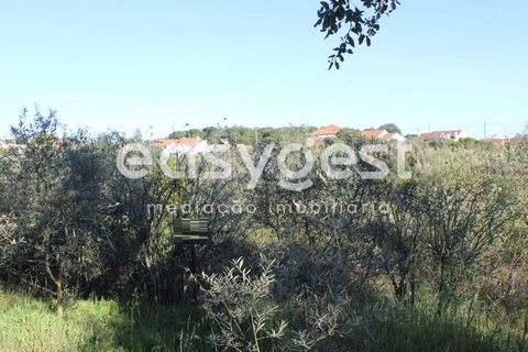 Byhus i Asseiceira, Santarem, Asseiceira - € 34.000 | Ref: TM92007 - foto 12