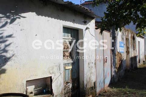Byhus i Asseiceira, Santarem, Asseiceira - € 34.000 | Ref: TM92007 - foto 14